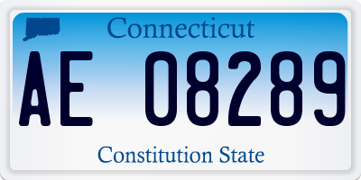 CT license plate AE08289