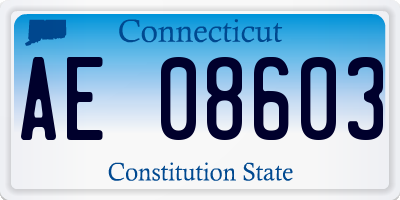 CT license plate AE08603