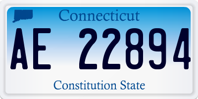 CT license plate AE22894