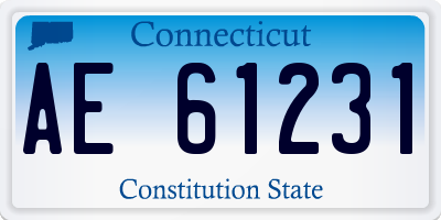CT license plate AE61231