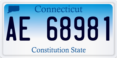 CT license plate AE68981