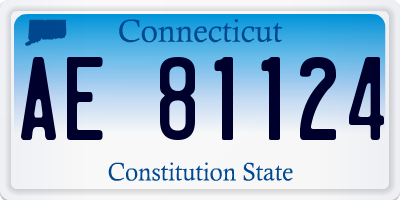 CT license plate AE81124