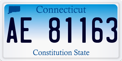 CT license plate AE81163