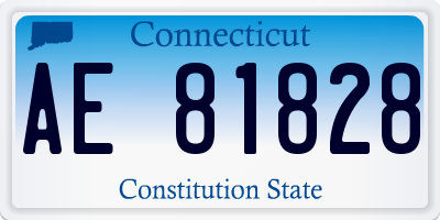 CT license plate AE81828