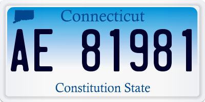 CT license plate AE81981
