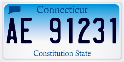CT license plate AE91231