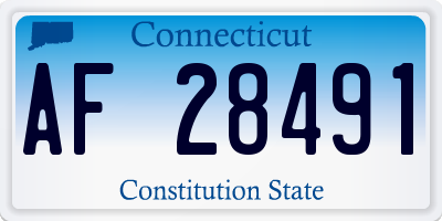 CT license plate AF28491