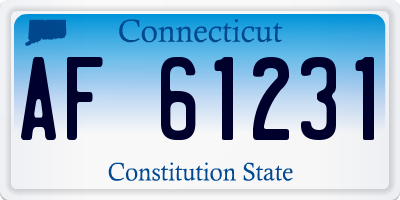 CT license plate AF61231