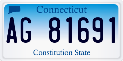 CT license plate AG81691