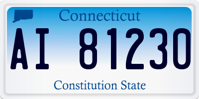 CT license plate AI81230