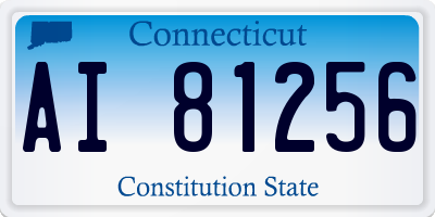 CT license plate AI81256