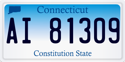 CT license plate AI81309