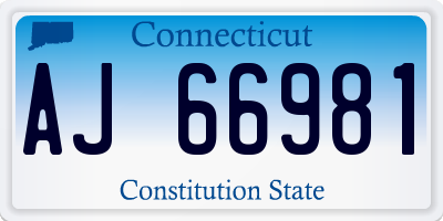 CT license plate AJ66981