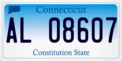 CT license plate AL08607