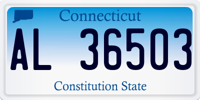 CT license plate AL36503