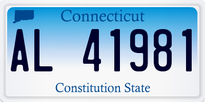 CT license plate AL41981