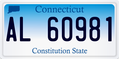 CT license plate AL60981