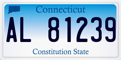 CT license plate AL81239