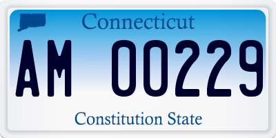 CT license plate AM00229
