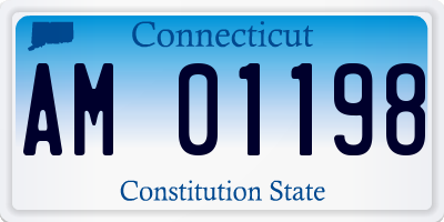 CT license plate AM01198