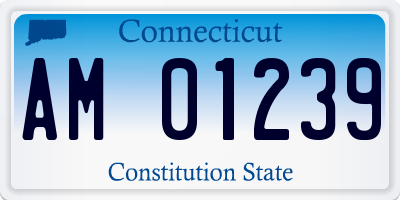 CT license plate AM01239