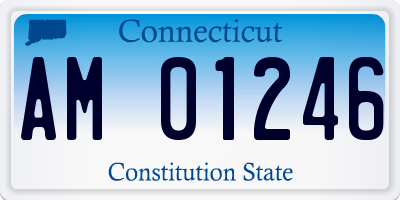 CT license plate AM01246
