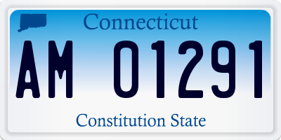 CT license plate AM01291
