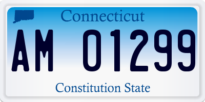 CT license plate AM01299