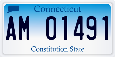 CT license plate AM01491