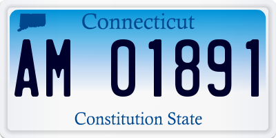 CT license plate AM01891