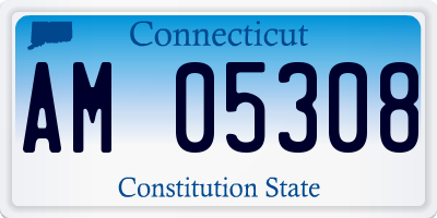 CT license plate AM05308