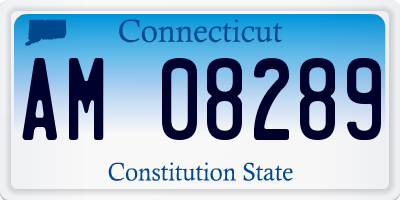 CT license plate AM08289