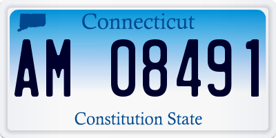 CT license plate AM08491