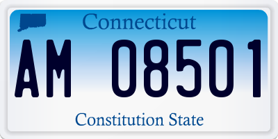 CT license plate AM08501