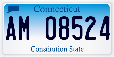 CT license plate AM08524