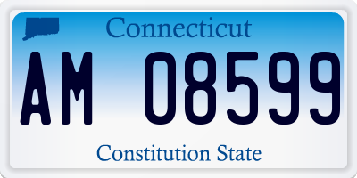 CT license plate AM08599