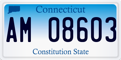 CT license plate AM08603