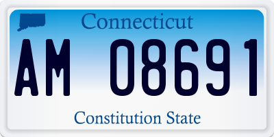 CT license plate AM08691