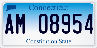 CT license plate AM08954
