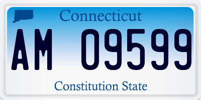 CT license plate AM09599