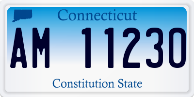 CT license plate AM11230