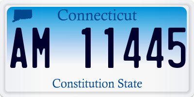 CT license plate AM11445