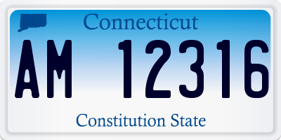 CT license plate AM12316