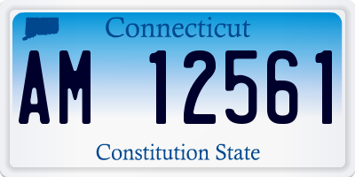 CT license plate AM12561