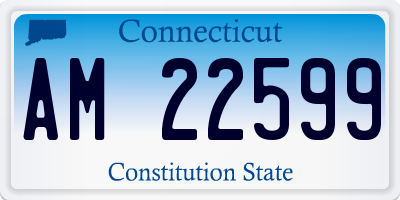 CT license plate AM22599