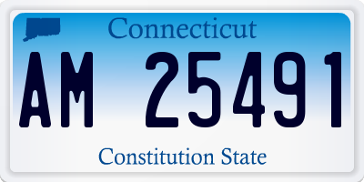 CT license plate AM25491