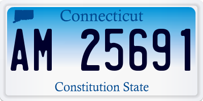 CT license plate AM25691