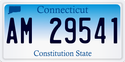 CT license plate AM29541