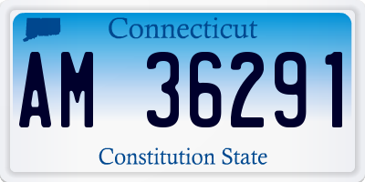 CT license plate AM36291