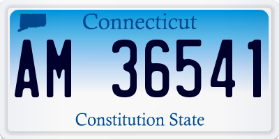 CT license plate AM36541